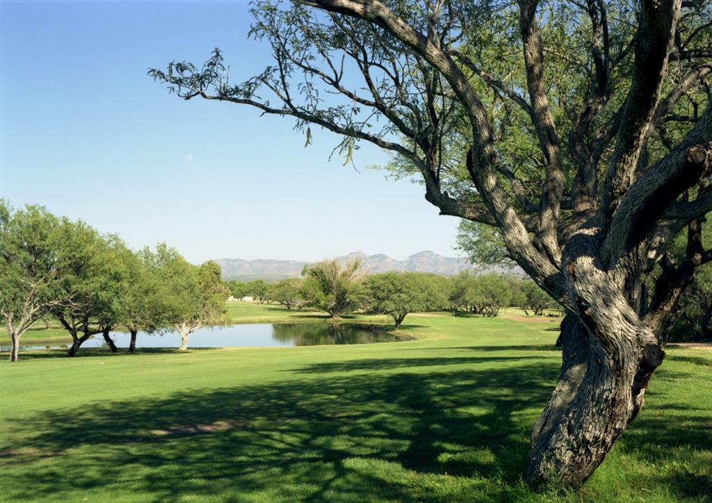 Esplendor Resort At Rio Rico Servizi foto